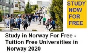 Tuition Free Universities in Norway 2023