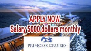 princess cruise ship jobs salary