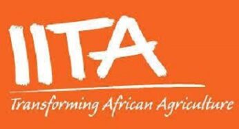 IITA Recruitment 2023 Form Portal