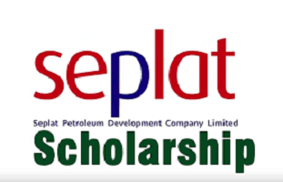 NPDC/SEPLAT Undergraduate Scholarship 2022