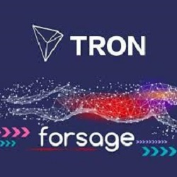 FORSAGE TRON REVIEW | SCAM OR LEGIT?