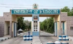 Courses Offered At The University Of Maiduguri