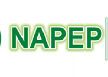 National Poverty Eradication Program (NAPEP) Recruitment 2023