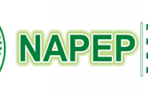 National Poverty Eradication Program (NAPEP) Recruitment 2023