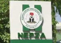 Nigerian Export Processing Zones Authority NEOZA Salary