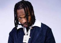 Naira Marley’s net worth for the year 2022