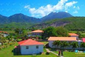 Cheap Universities in Saint Kitts and Nevis