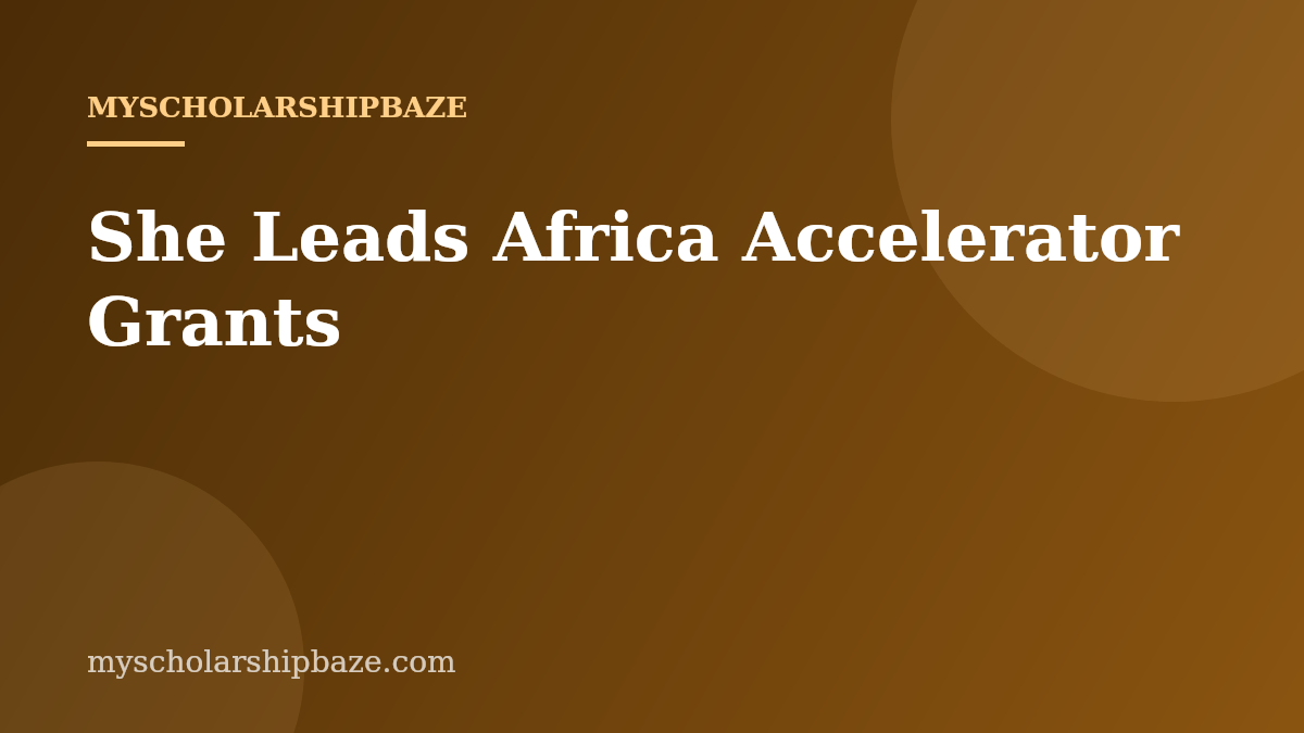 She Leads Africa Accelerator Grants