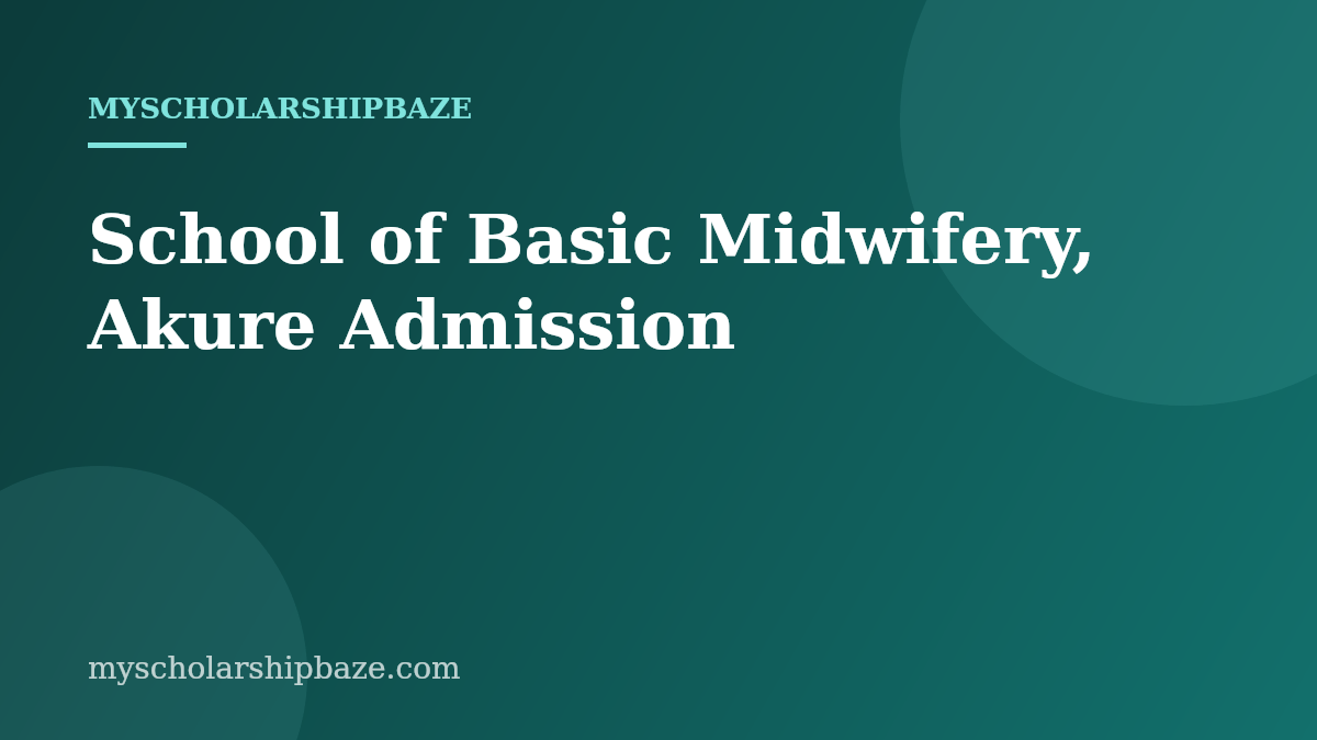 School of Basic Midwifery, Akure Admission